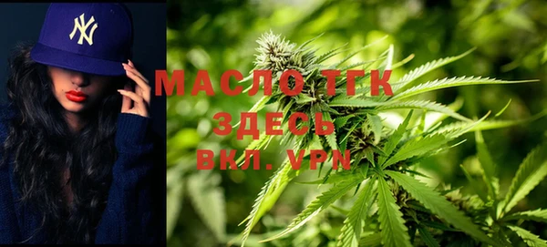 spice Богородицк